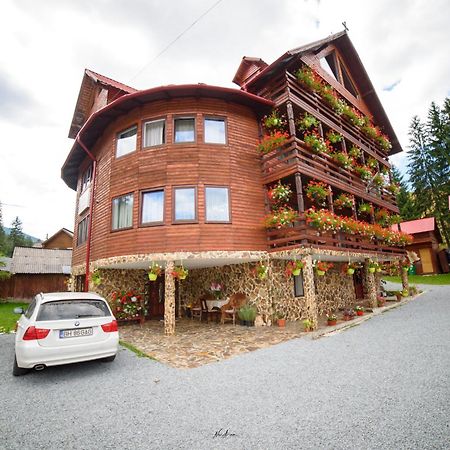 Отель Casa Binu Арьешени Экстерьер фото