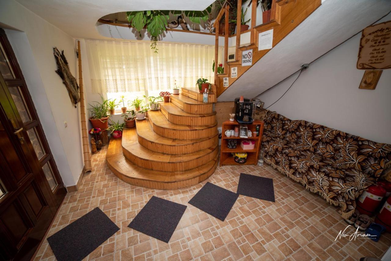 Отель Casa Binu Арьешени Экстерьер фото