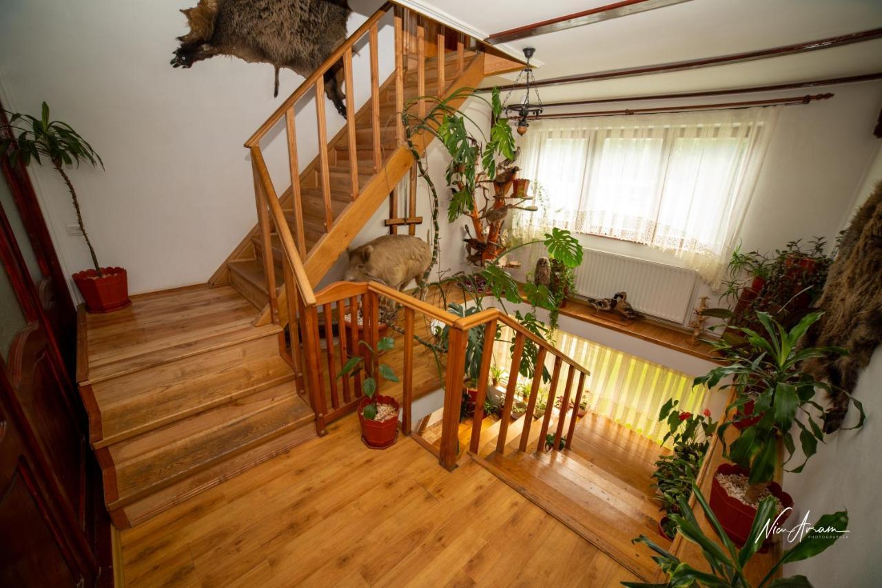Отель Casa Binu Арьешени Экстерьер фото