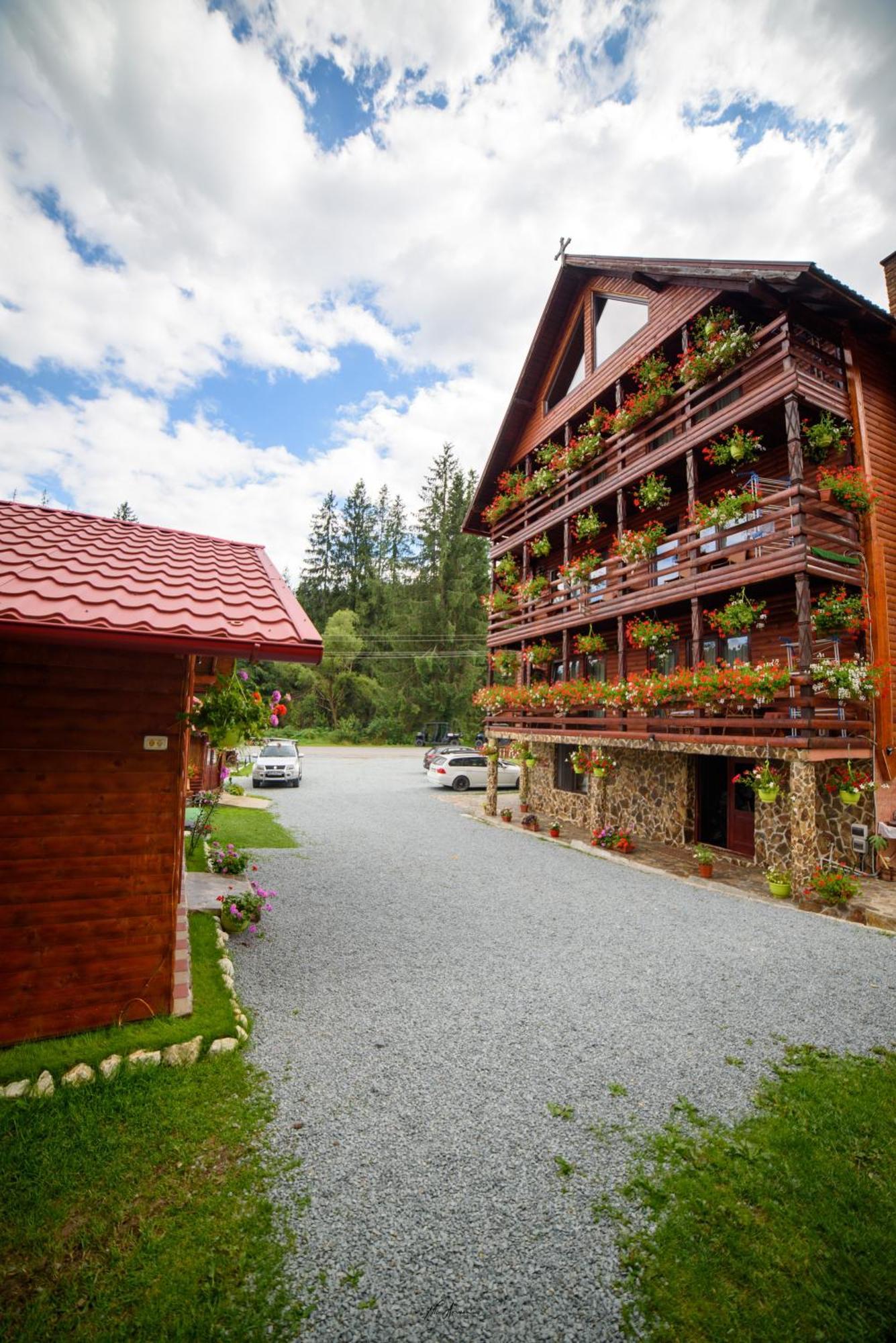 Отель Casa Binu Арьешени Экстерьер фото